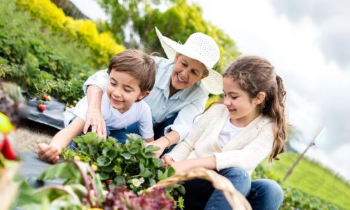 Gardening