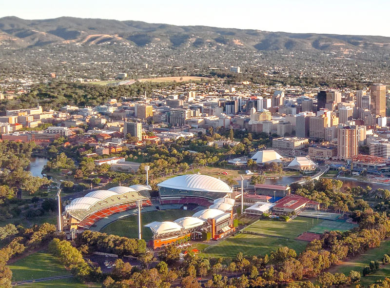 Pest Control in Adelaide