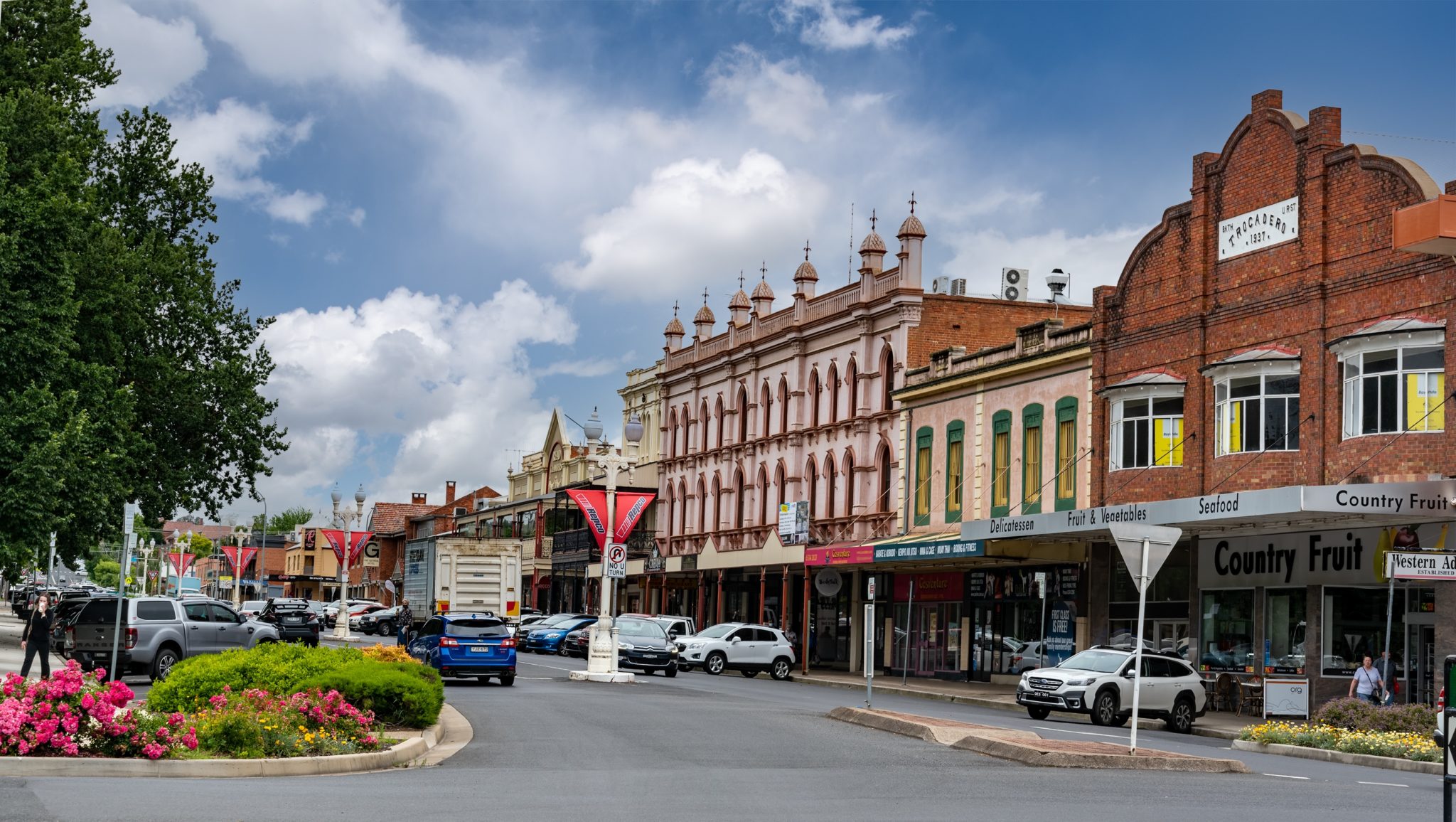 Rodent pest control Bathurst