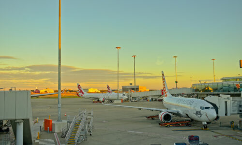 Brisbane Airport wasps elimination