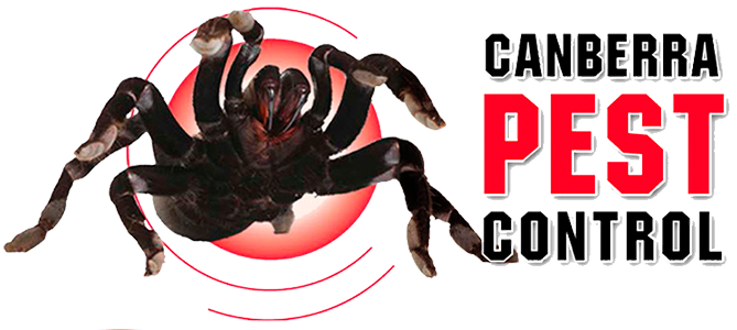 Canberra Pest Control Logo