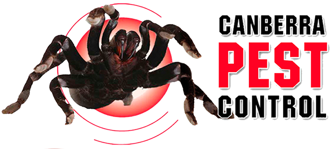 Canberra Pest Control Logo