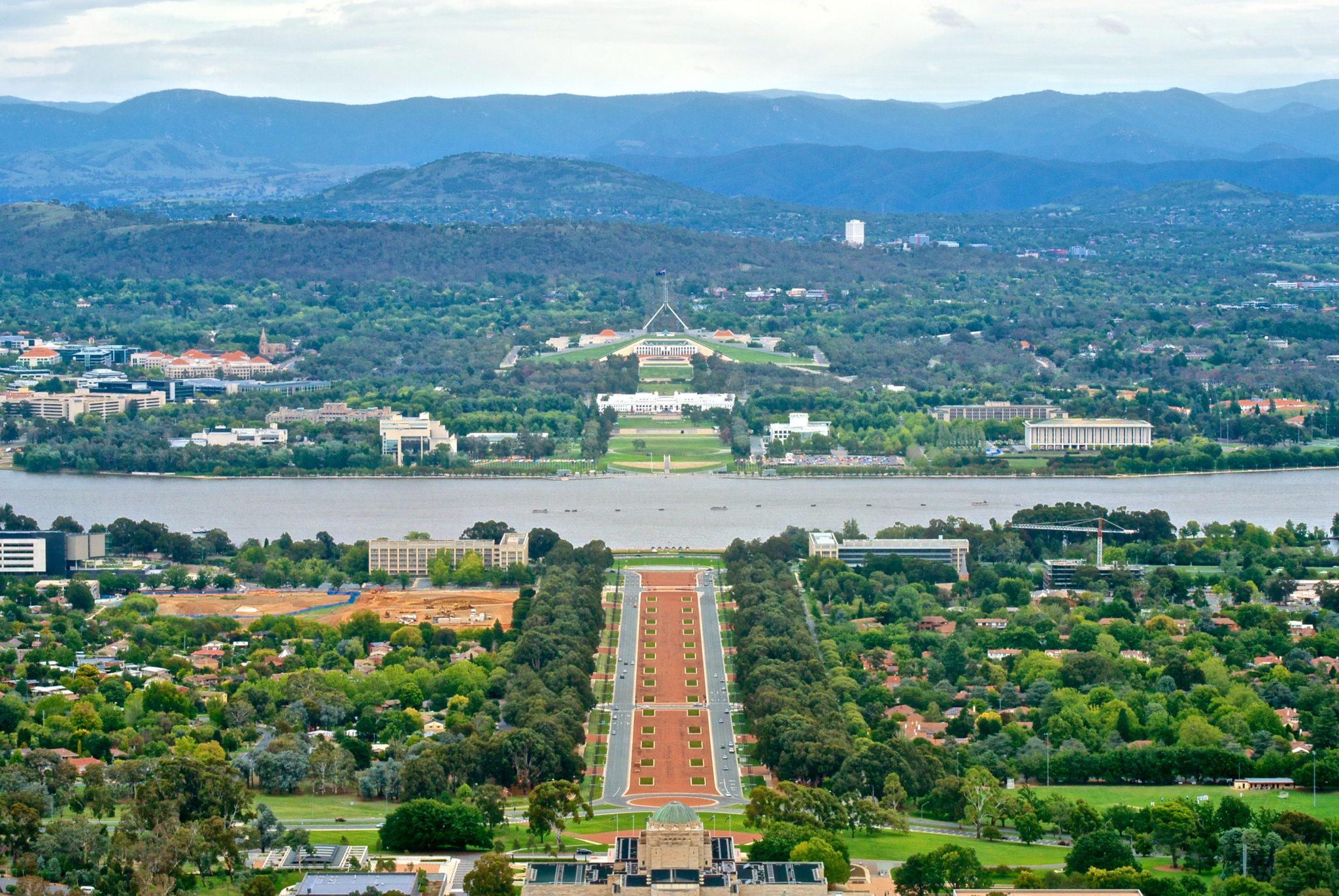 Ant pest control Canberra