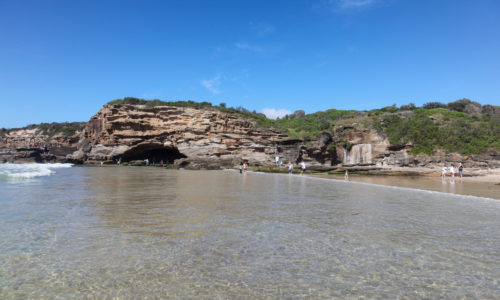 Caves Beach Pest Control