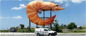 Flick Pest Control Lismore