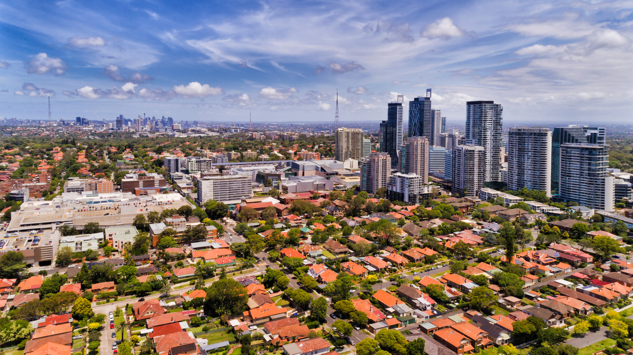 Termites Chatswood