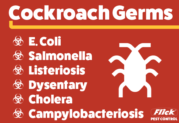 Cockroach germs
