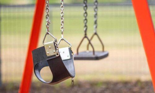Cost Savings for Australian Schools Through Data-Driven Pest Management