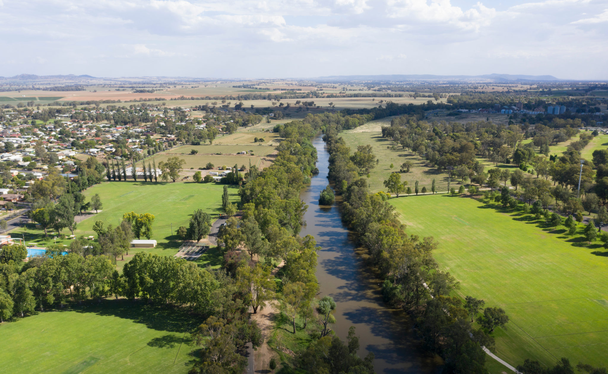 Rodent pest control Cowra