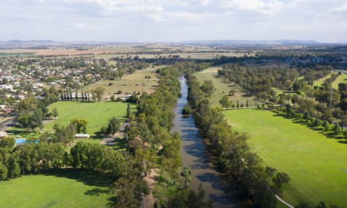 Cowra Pest Control