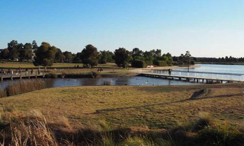 Craigieburn Pest Control