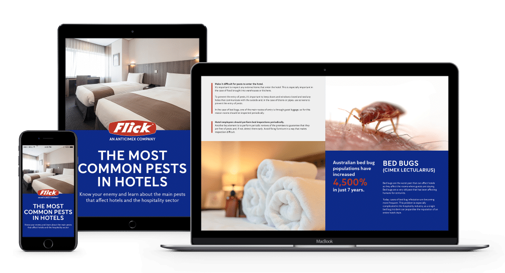 The Most Common Pests In Hotels Guide