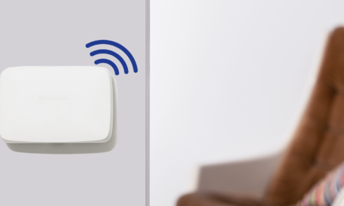 Digital Rodent Monitoring vs. Basic Rodent Control