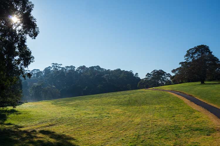 Doncaster Pest Control Local Pest Exterminator