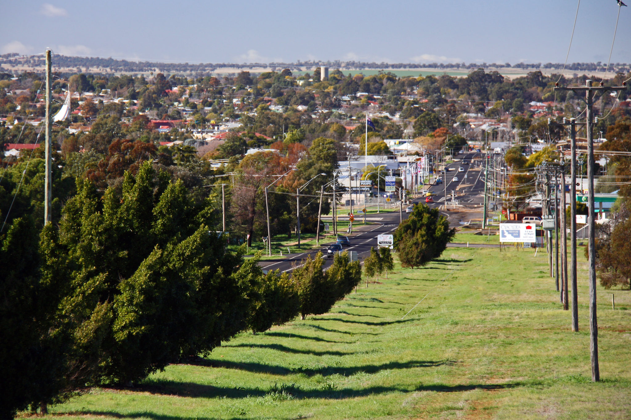 Bird pest control Dubbo