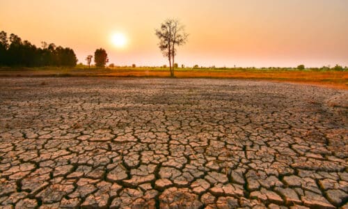 El Nino causing droughts and its Impact on Pests