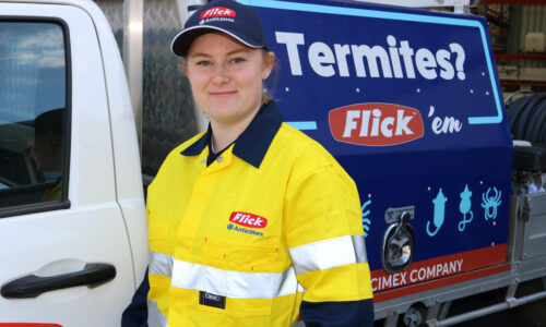 Eliminate Termites with Flick