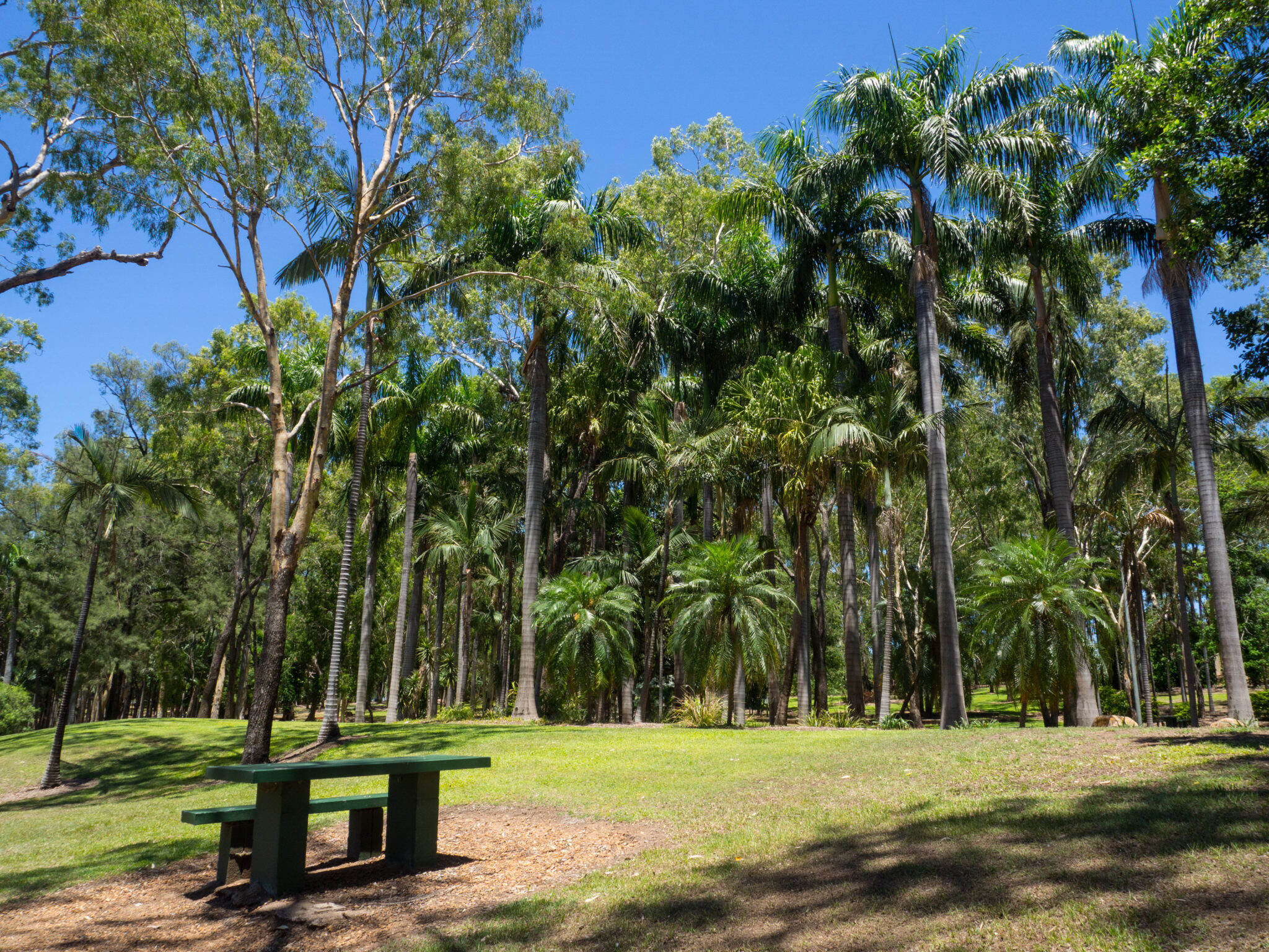 Emerald, Botanic Garden