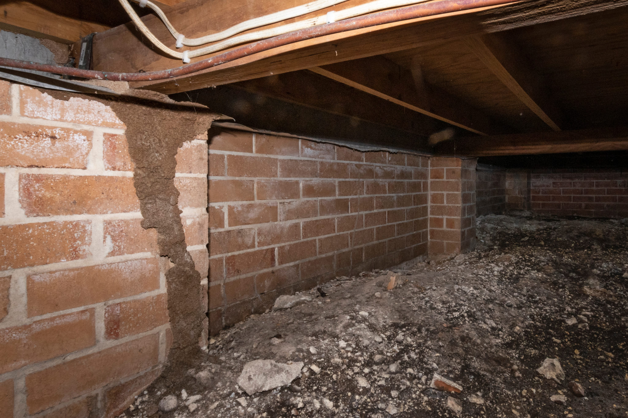 Engadine termite damage to subfloor of home