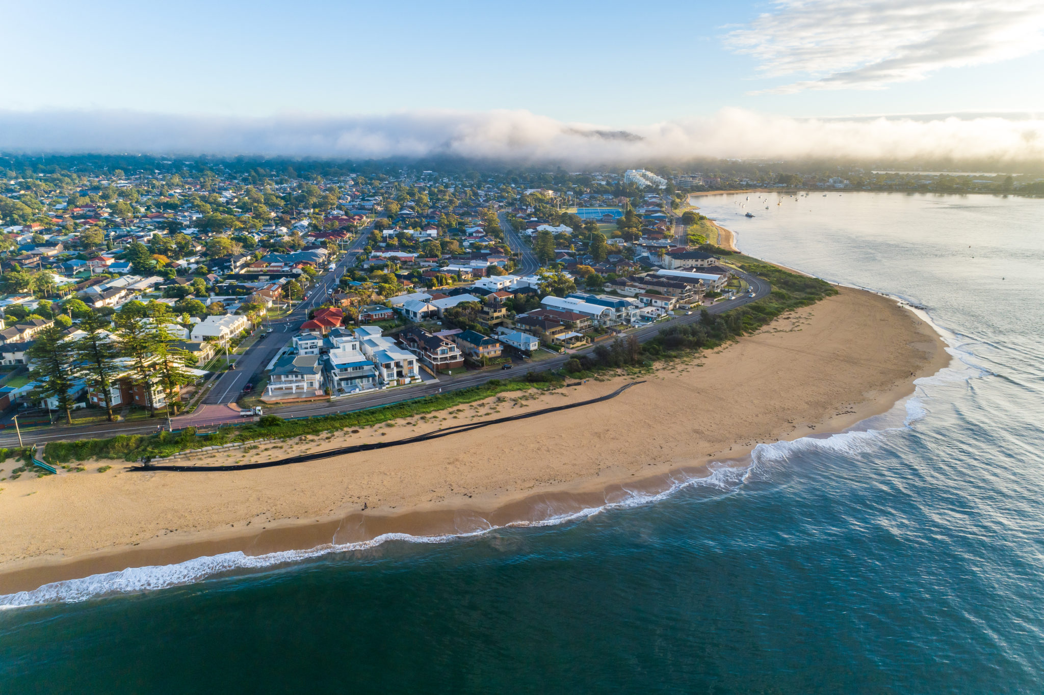 Rodent pest control Ettalong Beach