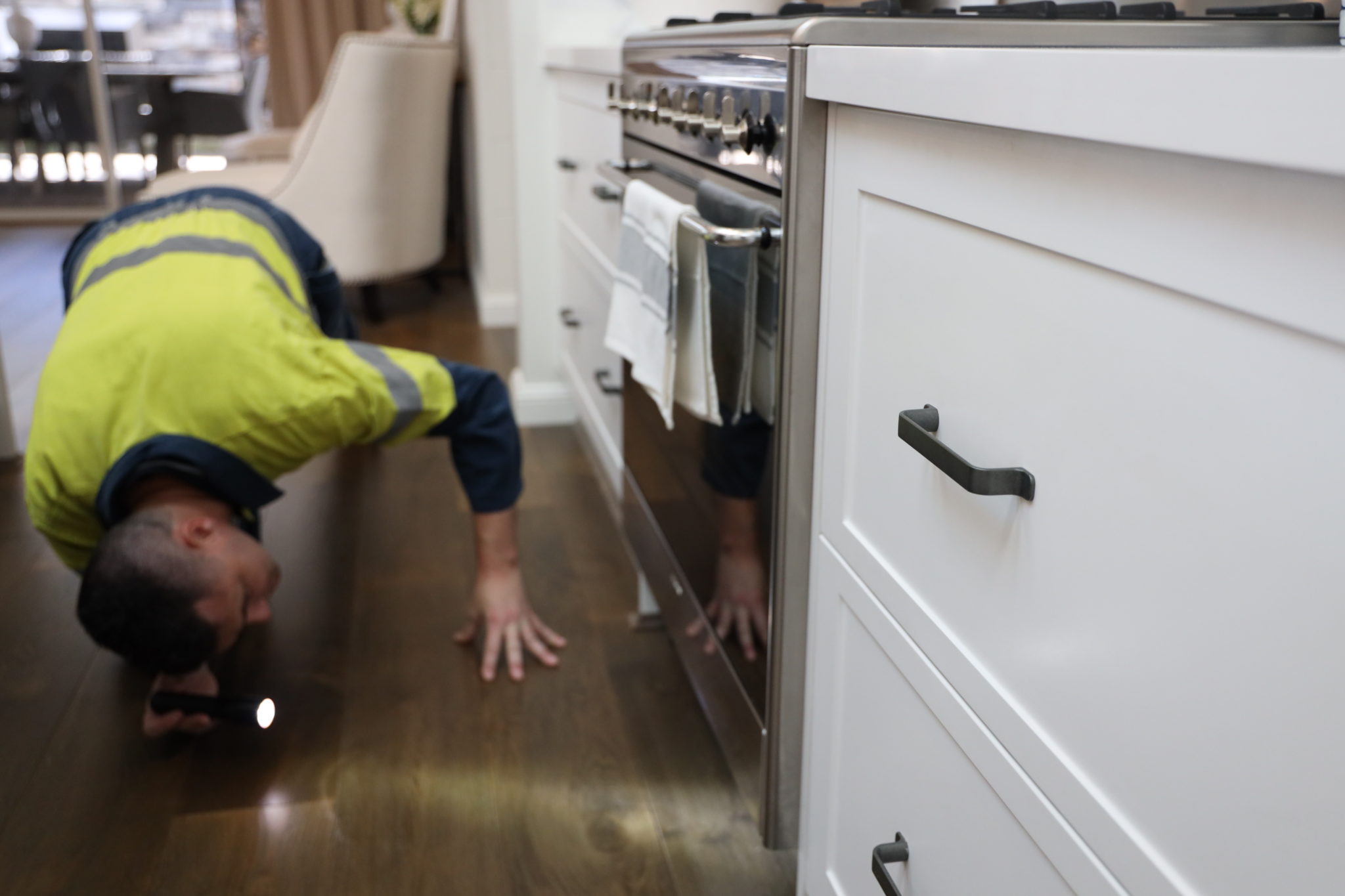 Gladstone Technician Looking for Signs of Mice