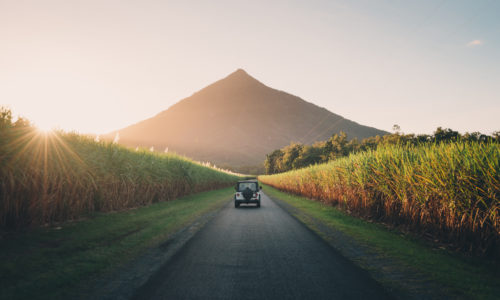 Gordonvale Pest Control