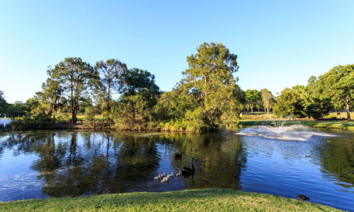 Flick Pest Control Gympie