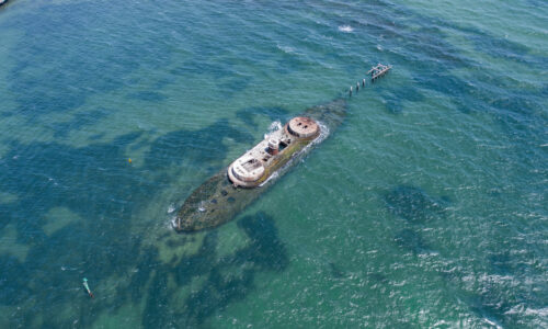 HMAS Cerberus Pest Control