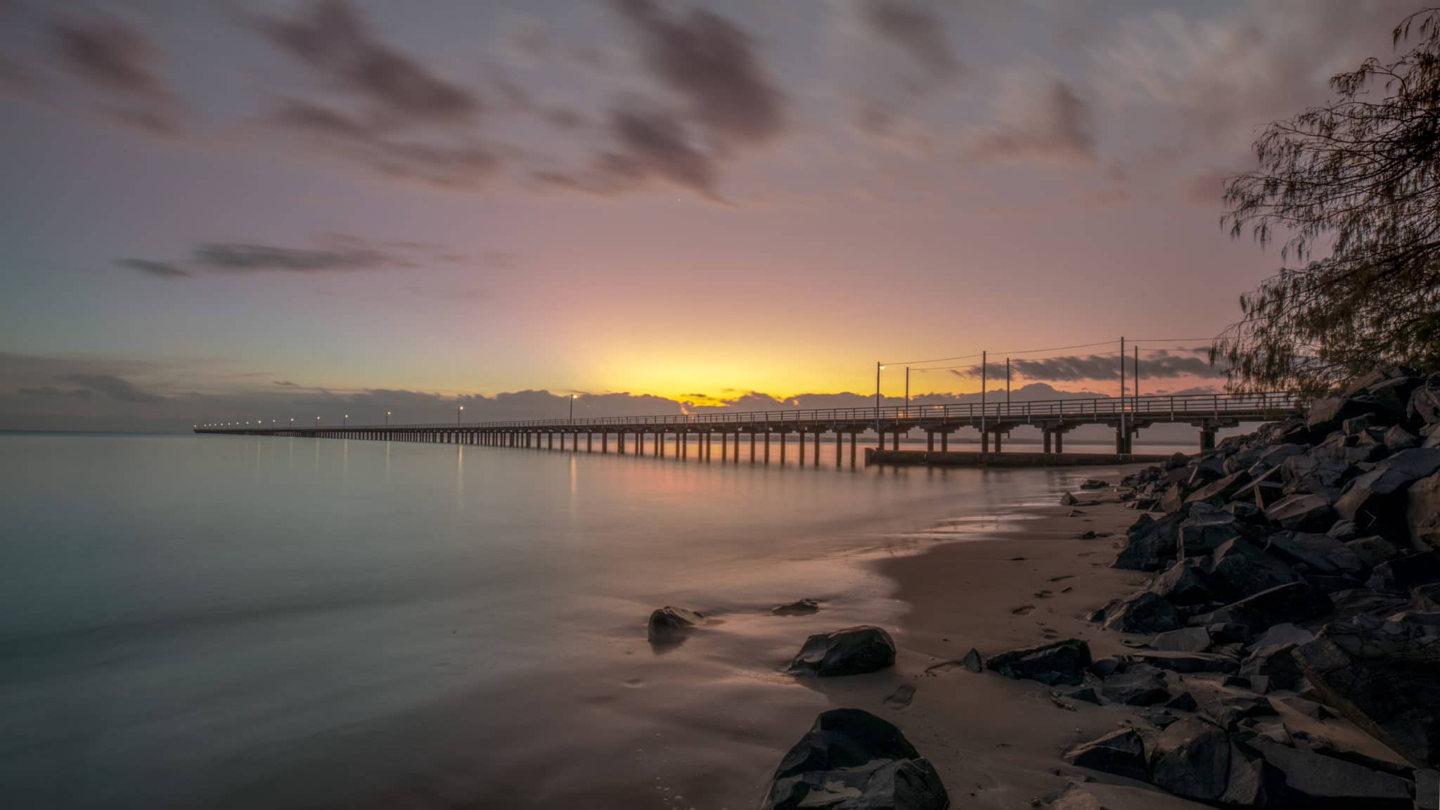 Hervey Bay Pest Control Flick Pest Control