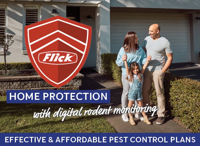 Flick Home Proctection With Digital Rodent Monitoring