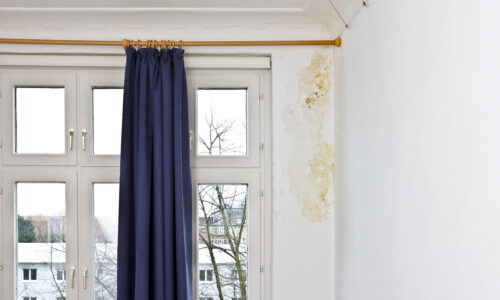 How to remove mould on walls