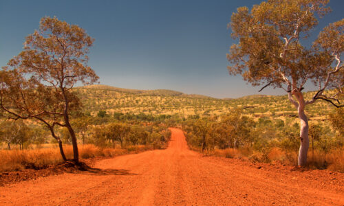 Karratha Pest Control