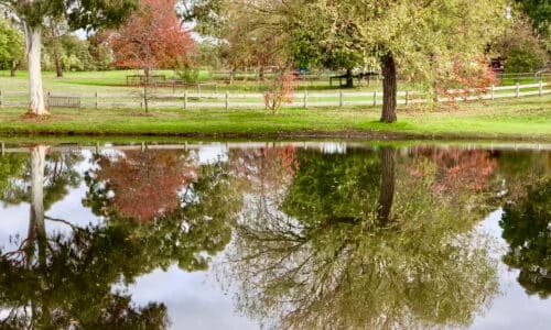 Langwarrin Pest Control