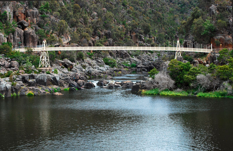 Pest Control in Launceston