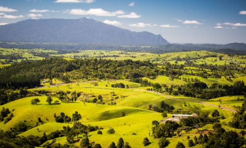 Flick Pest Control Mareeba