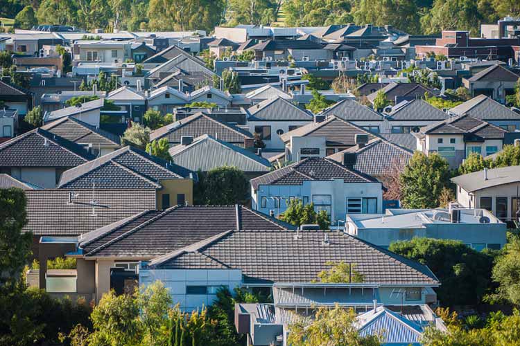 Melbourne House Wasp Nest Removal