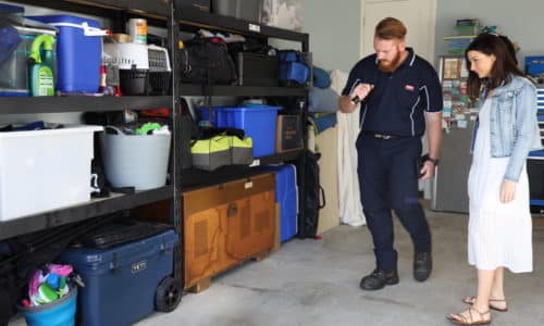 Most Common Pests Found in Storage Areas
