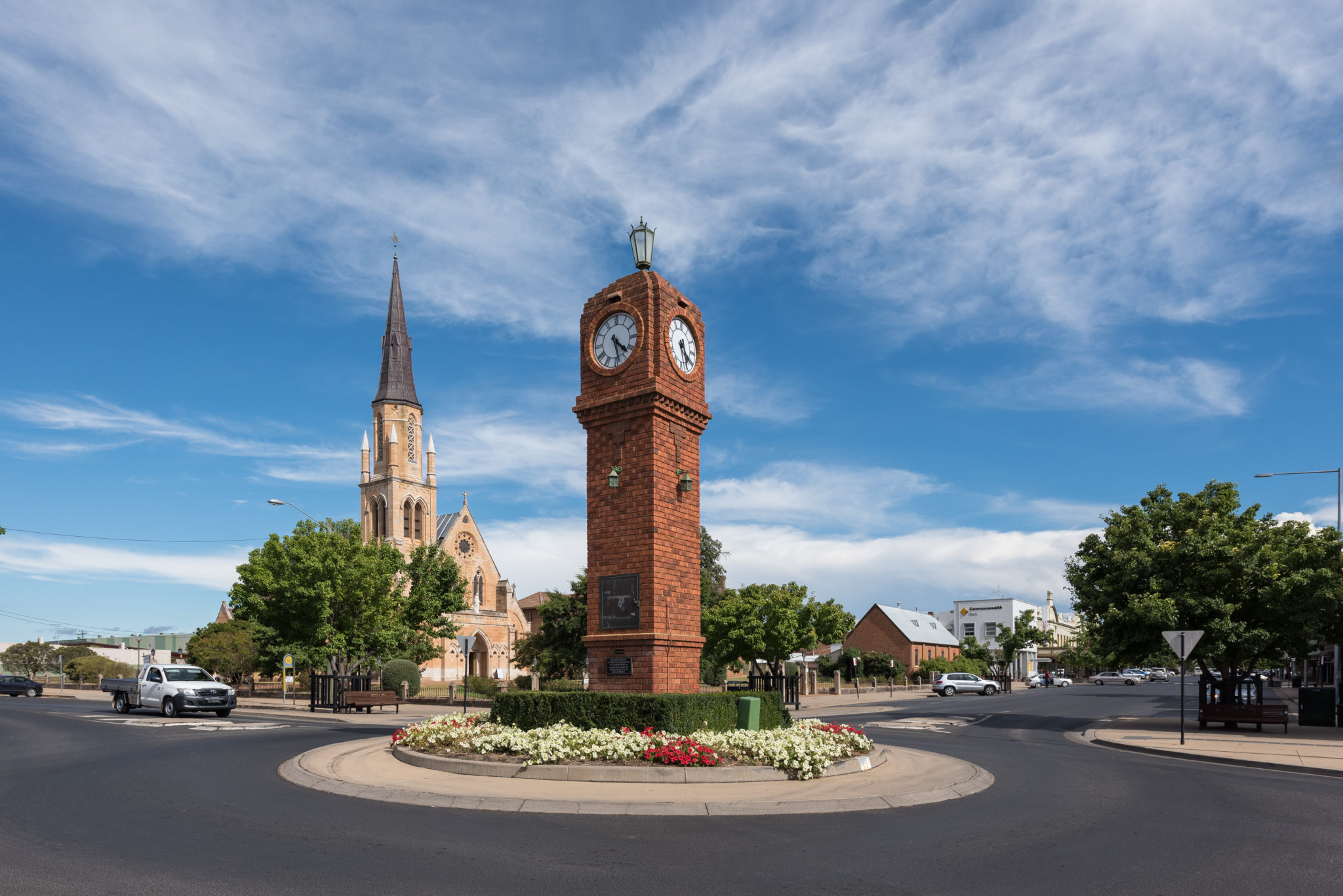 Rodent pest control Mudgee