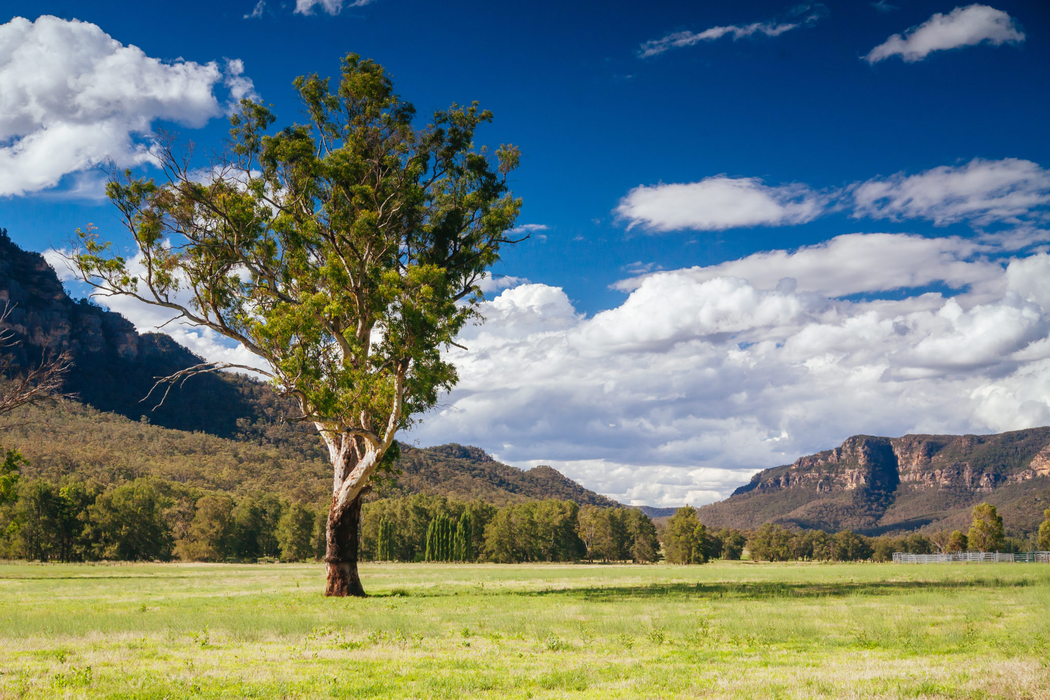 Rural Landscape, Muswellbrook