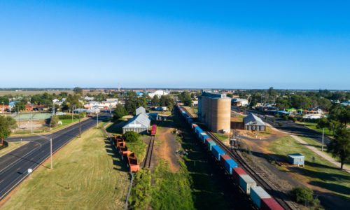 Narromine Pest Control