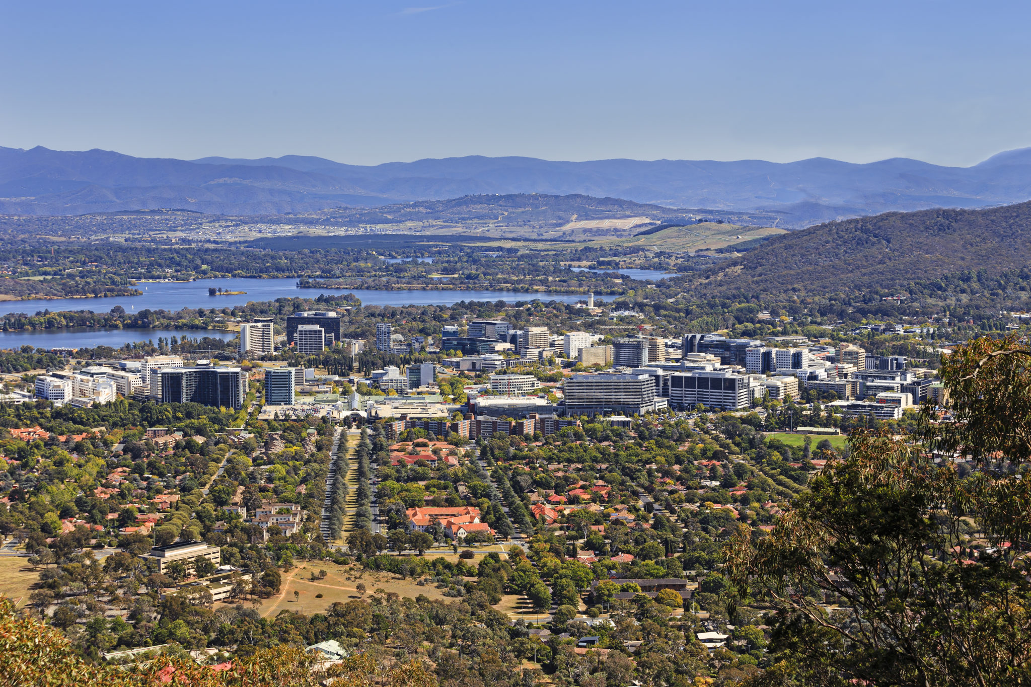 Termites North Canberra