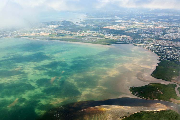 Burpengary Pest Control Flick Pest Control