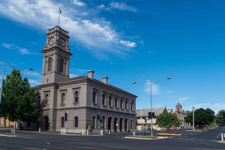 Pest Control by Local Experts in Castlemaine