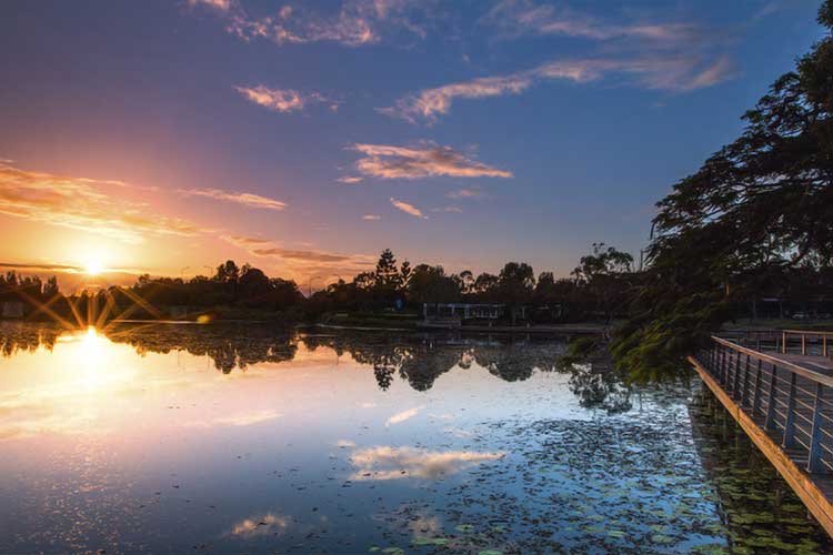 North Lakes Pest Control Flick Pest Control