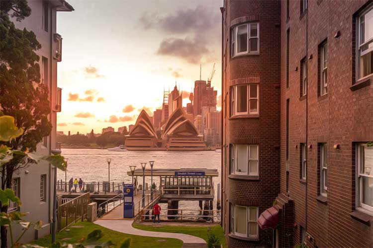 North Sydney Pest Control Flick Pest Control