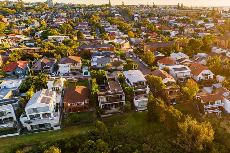 Peakhurst Pest Control Flick Pest Control