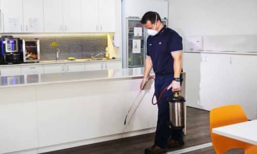 Pest Control Sydney Australia