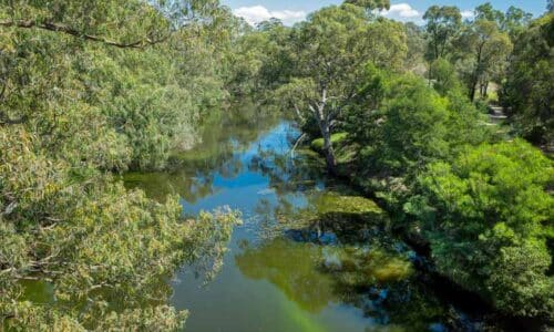 Werribee Pest Control