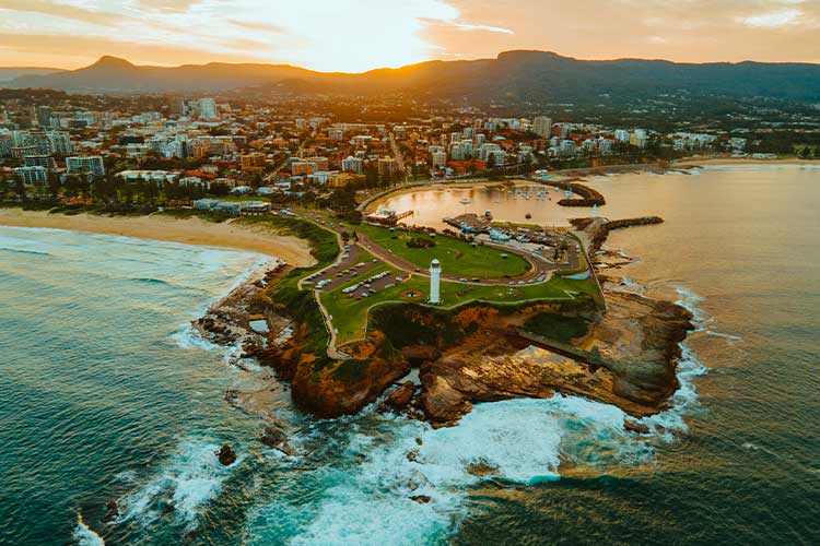 Wollongong Pest Control Flick Pest Control