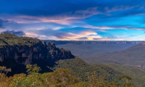 Termites Pest Control in the Blue Mountains